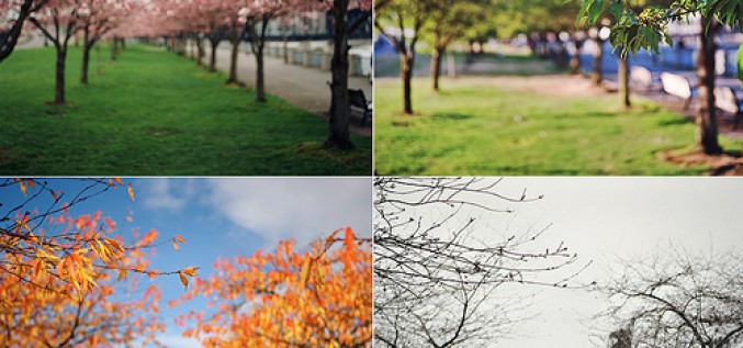 Laikapstākļiem piemērota ādas kopšana