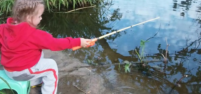 Kā pareizāk rīkoties,  ja sakoduši odi, dunduri, lapsenes  vai citi insekti?