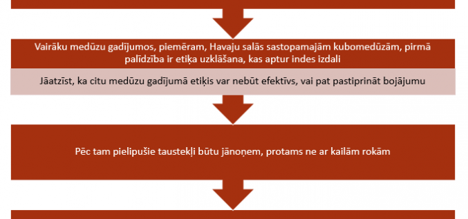 Pareiza secība rīcībai pēc medūzas dzēliena